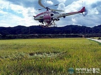 울진 축산조사료 현지 재배로 축산부농 육성