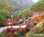 단양 단풍드라이브 코스로 인기