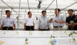 부안군, 씨감자 자체생산 기반구축