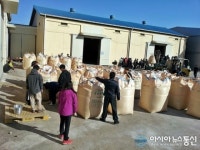 영덕, 공공비축비 건조벼 본격 수매