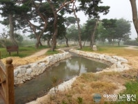 경주시, 원두숲 생태공원에 반딧불이 정원 준공