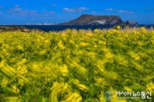 제주 국제사진공모전 입상작 전시회 개최