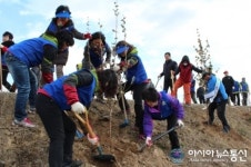 창원시, 대산면 죽동천 일원 산수유 식재
