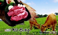 경주 천년한우 우수 축산물 브랜드 3년 연속 선정
