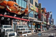 새로운 변신 시도하는 영덕 강구항 대게거리