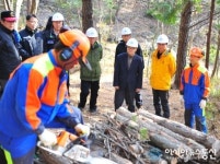 남부산림청, 소나무재선충병 확산방지 위해 총력 대응