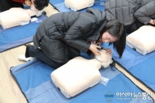 서울경인초등학교 교사, 심폐소생술 교육 받아