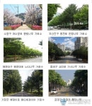 부산시, 녹색 화보집 부산의 가로수 출간