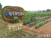 평택 현덕제일교회, 글갱이 주말농장 분양
