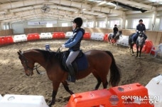 산청군, 말띠 해 승마 활성화 지원