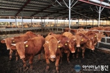 봉화군, 농가에 금융 융자금이자 5%지원