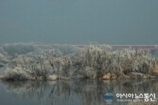 호반도시 춘천 소양강, 소양로 따라 핀 ‘상고대’