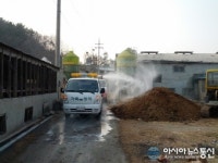 영천시, AI 긴급 방역 실시