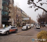 임금님이 행차했던 돈화문로