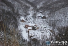 영동 민주지산 자연휴양림 여전히 ”인기”