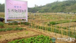 안산시 주말농장(도시농업농장) 신청 안내
