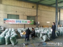 ‘봄 향기 물씬’청학골 취나물 첫 선