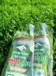 경산 친환경 청정 맥반석 미나리 이달부터 본격 출하