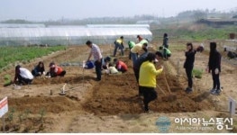 평택 웃다리문화촌, 농촌 주말농장 분양