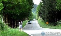 진안군, 명품 파크웨이(Park-Way) 조성 탄력