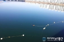 춘천소방 119구조대, 소양1교 투신자 인명구조