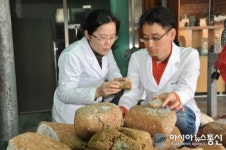 순창군집집마다 대를 잇는 장류미생물 자원 만들기