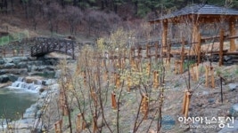 사하구, ‘제석골 산림공원’ 준공