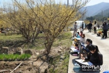 ”남원으로 꽃 구경오세요”