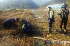 삼척 원덕의소대, 폭설 피해농가 복구 돕기 구슬땀