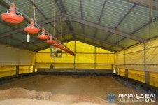 AI(조류독감)로 주저앉은 농심, 두 번 울리는 상술