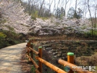의창구, 용추계곡 목재펜스 봄맞이 단장