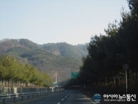 의령군, 국도 20호선 가로수 정비사업 시행