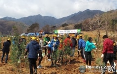 영주국유림관리소, 산림치유단지에 백송 군락지 조성