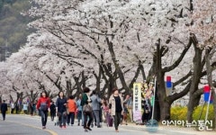 구미시, 제23회 선주원남 벚꽃축제 개최