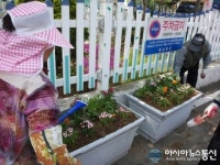 성산구 웅남동, 신촌로 일대 꽃 화단 조성