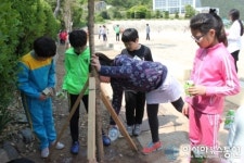통영도산초 꿈과 희망을 키우는 나무 가꾸기 활동 전개
