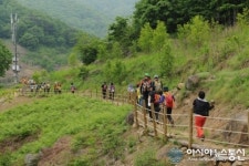 전북남원 지리산 둘레길 철쭉과 함께 걸어 봐요