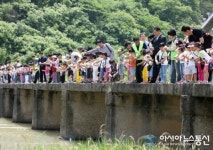 무주군, 반딧불이 먹이 다슬기 방사