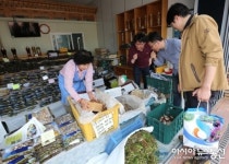 산청약초시장 개장 1주년 기념 할인행사 펼쳐