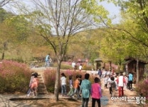 문수산산림욕장 등 손님 맞이 준비 완료