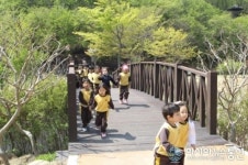 포항 산림휴양시설지구 방문객 급증