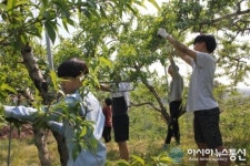충북도청명학생교육원 위탁학생, 사랑의 나눔활동