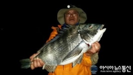 바다낚시 천국 보령, 우럭·광어 낚시 제철