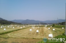 순천시, 축산농가 경영안정을 위한 풀사료 수확 및 공급