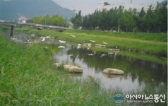 창원시 생태하천(창원천, 남천) 복원사업 마무리