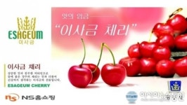 경주 이사금 체리 NS홈쇼핑 TV방송판매