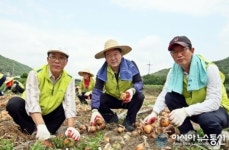 경남농협, 의령군 봉수면서 양파수확 도와