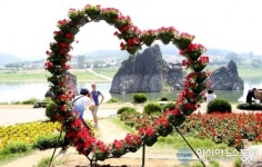 단양군, 녹색 도시경관 조성·관리