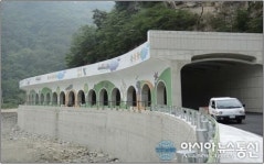 정선군 군도4호선 낙동지역 안심하고 이용하세요!