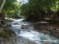 청정 무주 펜션, ”더플라워 펜션”